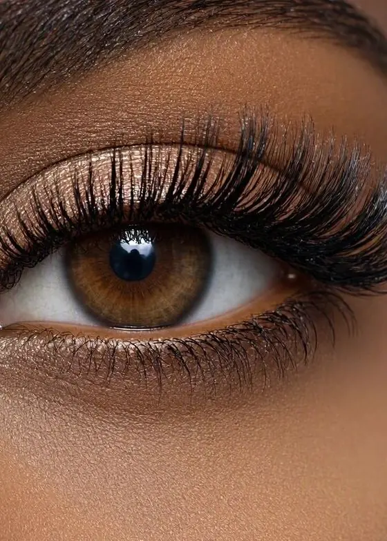 Dramatic volume lashes with defined brow